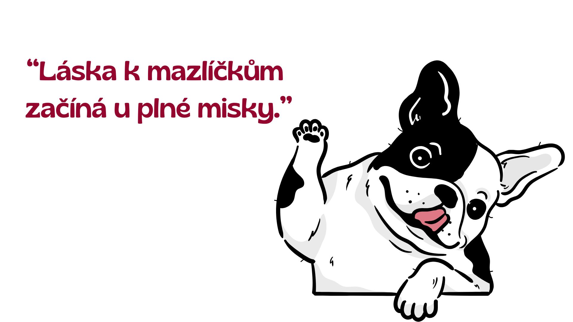 Pes Barfík doporučuje